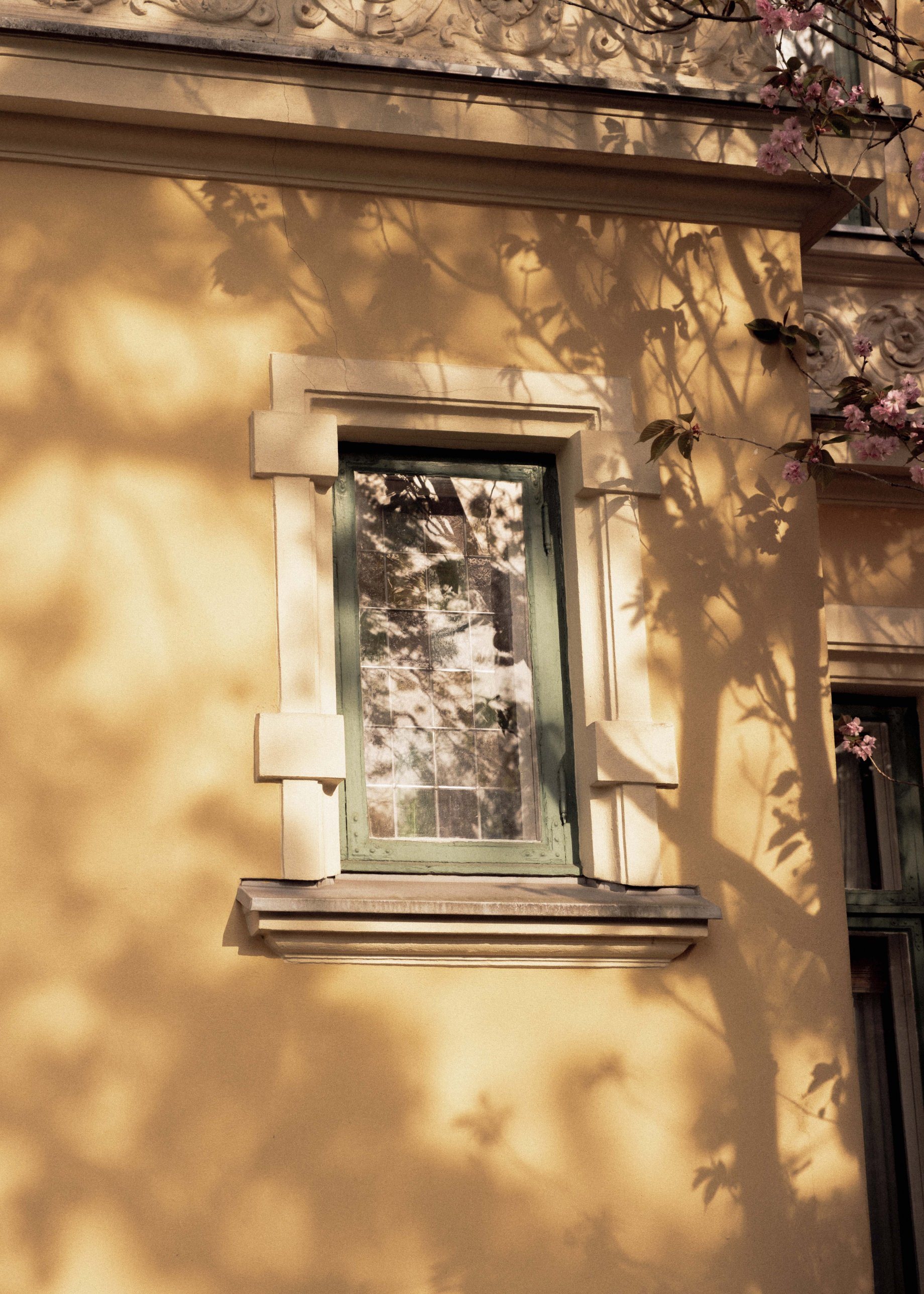 A window in a yellow plastered wall, covered by the shadows of branches.