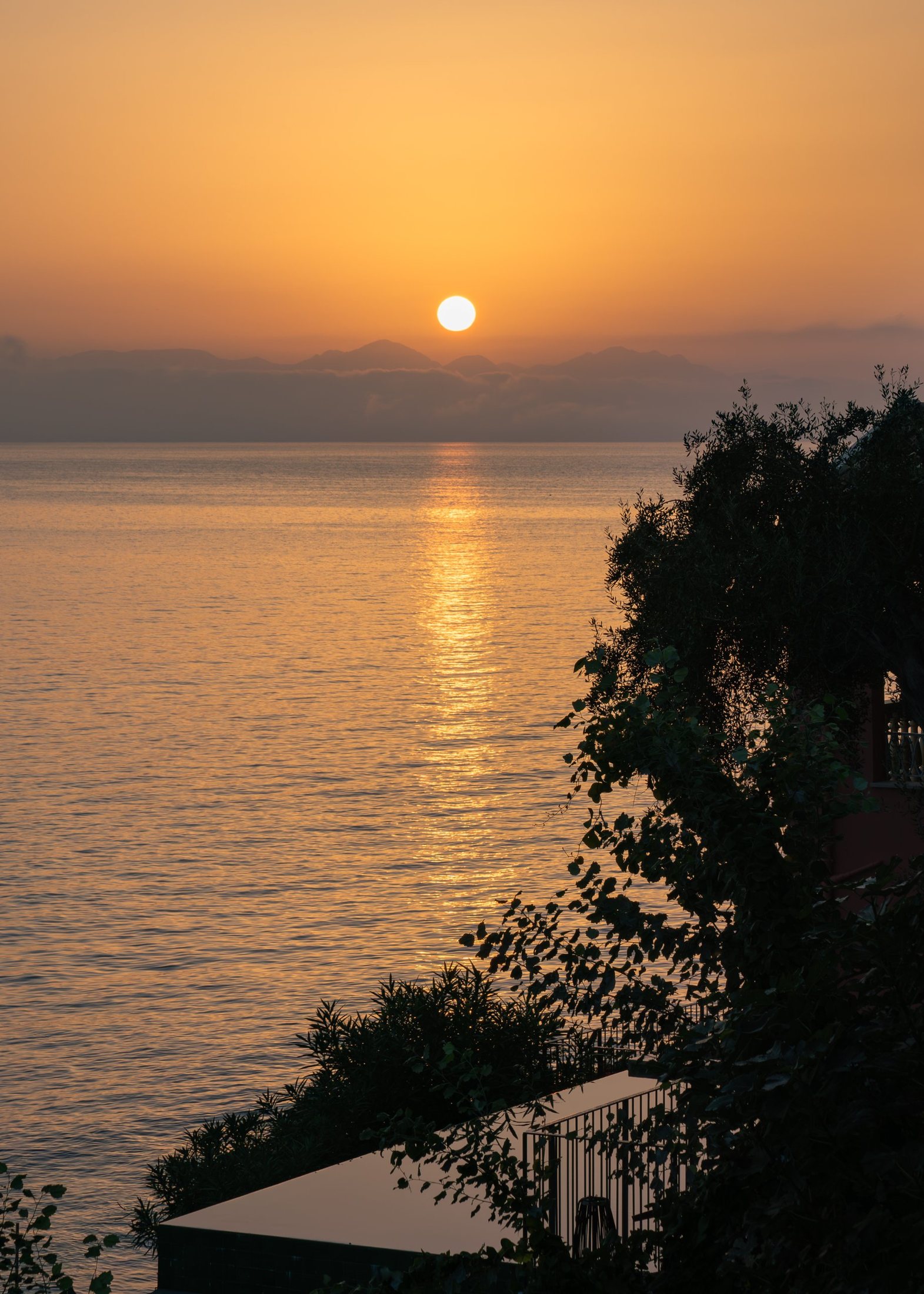 The sun low over the sea, with the silhouette of a tree in front.
